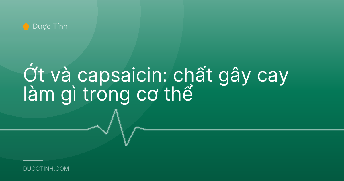 Ớt và capsaicin: chất gây cay làm gì trong cơ thể