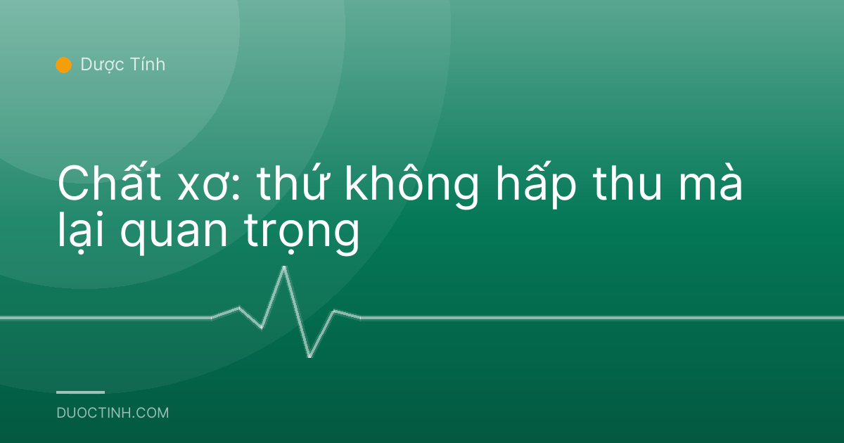 Chất xơ: thứ không hấp thu mà lại quan trọng