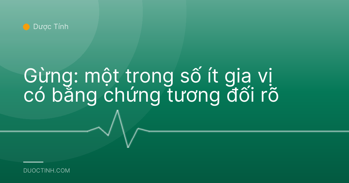 Gừng: một trong số ít gia vị có bằng chứng tương đối rõ