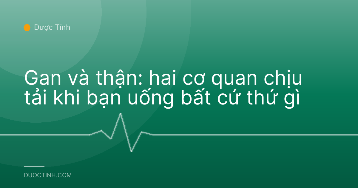 Gan và thận: hai cơ quan chịu tải khi bạn uống bất cứ thứ gì