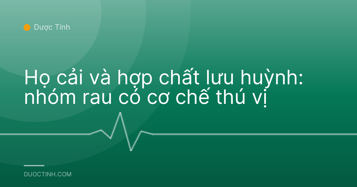Họ cải và hợp chất lưu huỳnh: nhóm rau có cơ chế thú vị