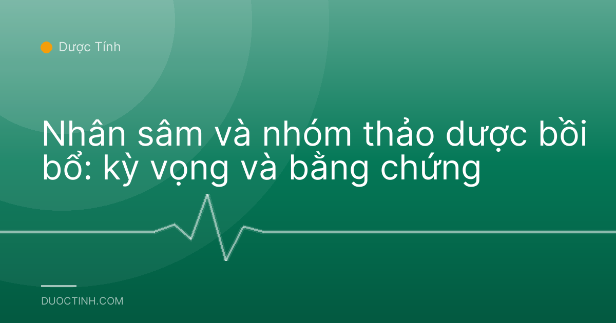 Nhân sâm và nhóm thảo dược bồi bổ: kỳ vọng và bằng chứng