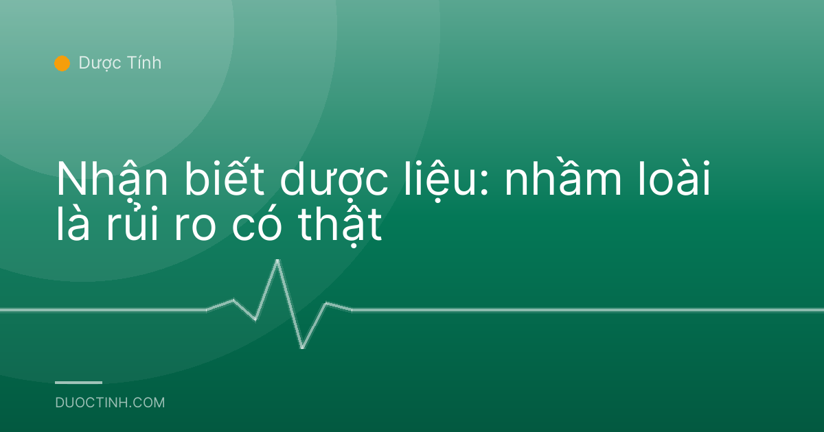 Nhận biết dược liệu: nhầm loài là rủi ro có thật