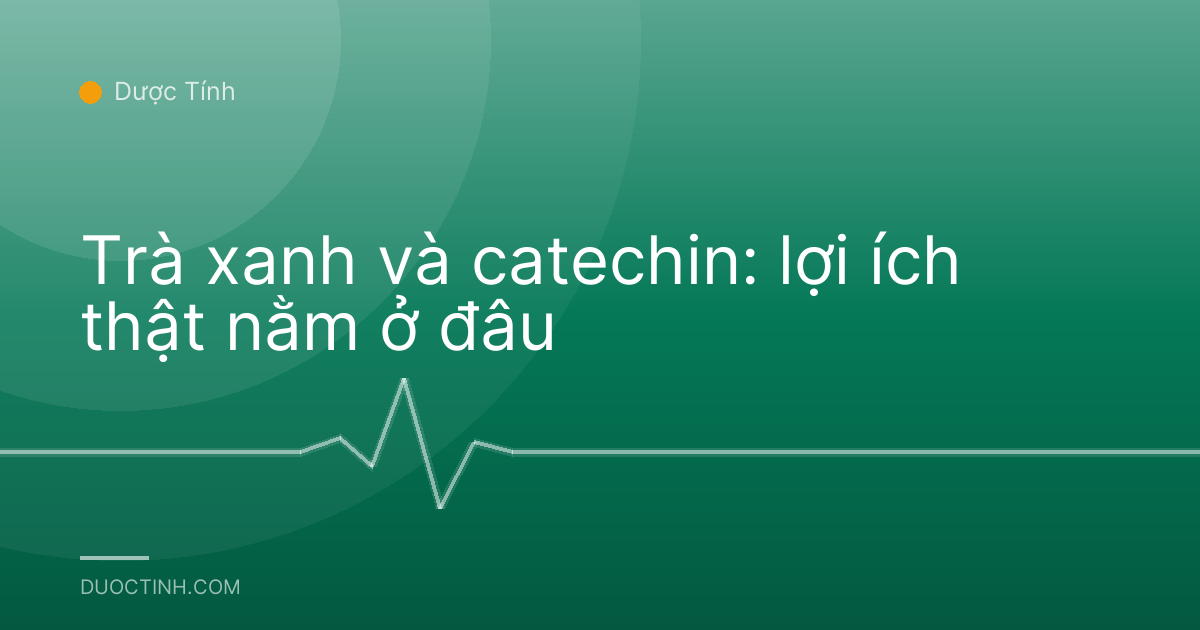 Trà xanh và catechin: lợi ích thật nằm ở đâu
